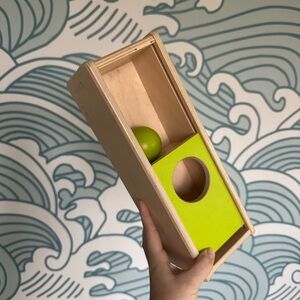 LoveEvery Ball Toy. Wooden Montessori Toy with Green Ball